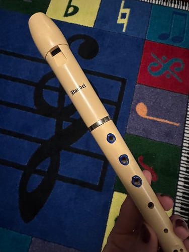 Recorder 3D Paint copy