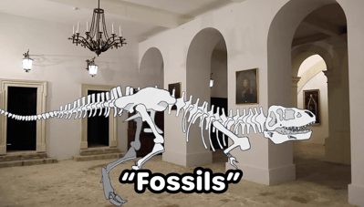 Fossils